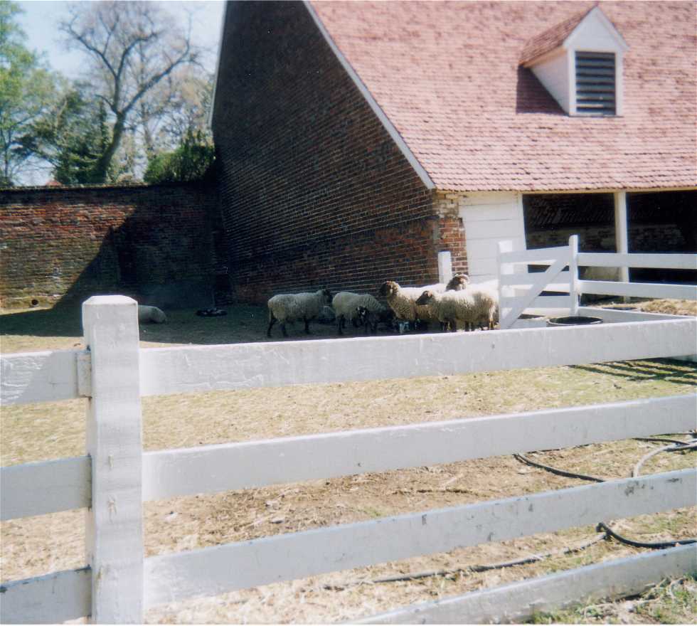 Stone Wall in Mount Vernon
