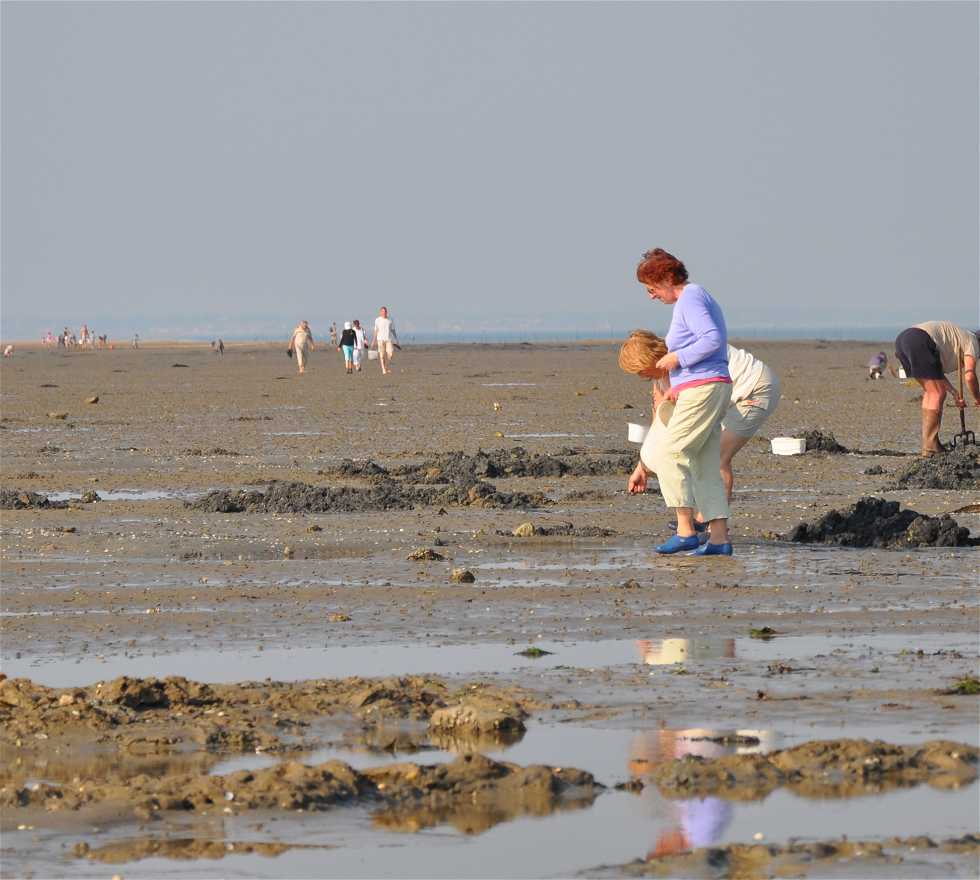 Pozas de marea en Beauvoir-sur-Mer