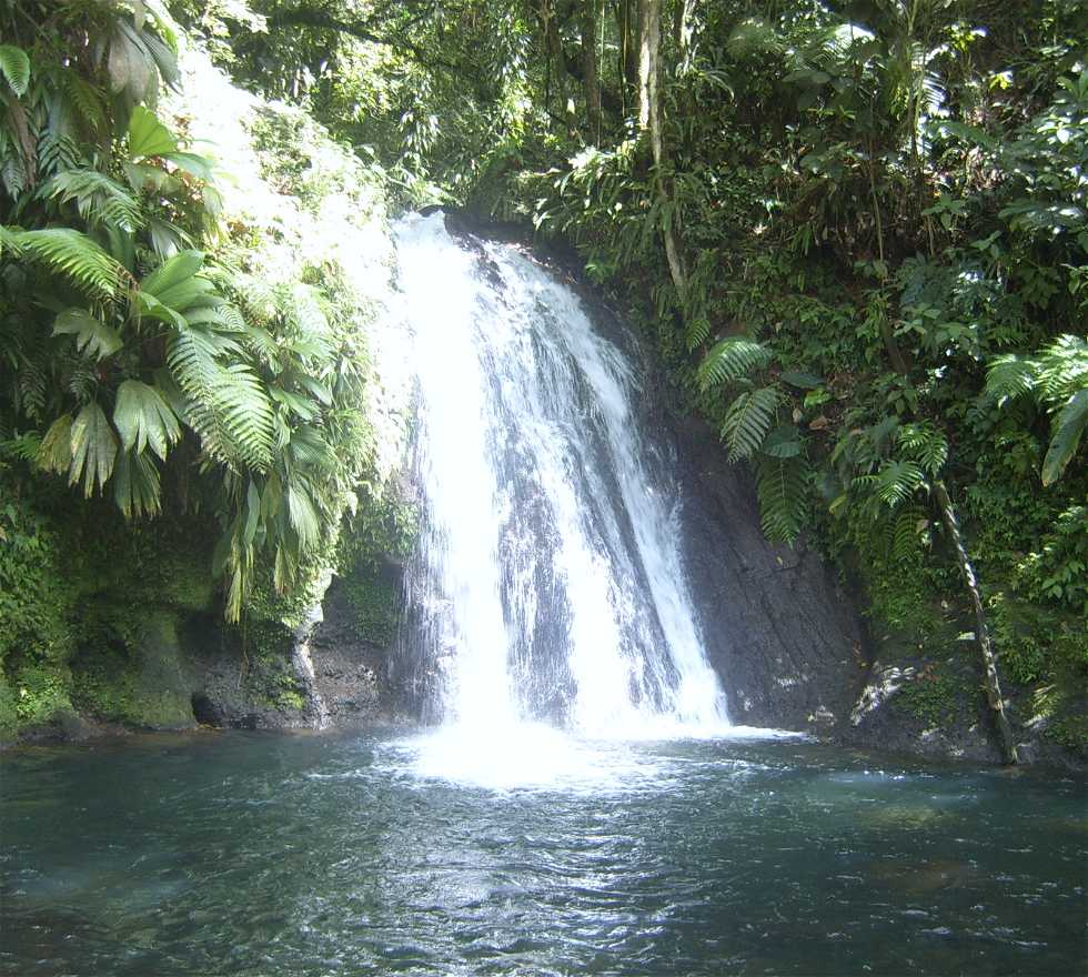 Cachoeiras em Basse-Terre