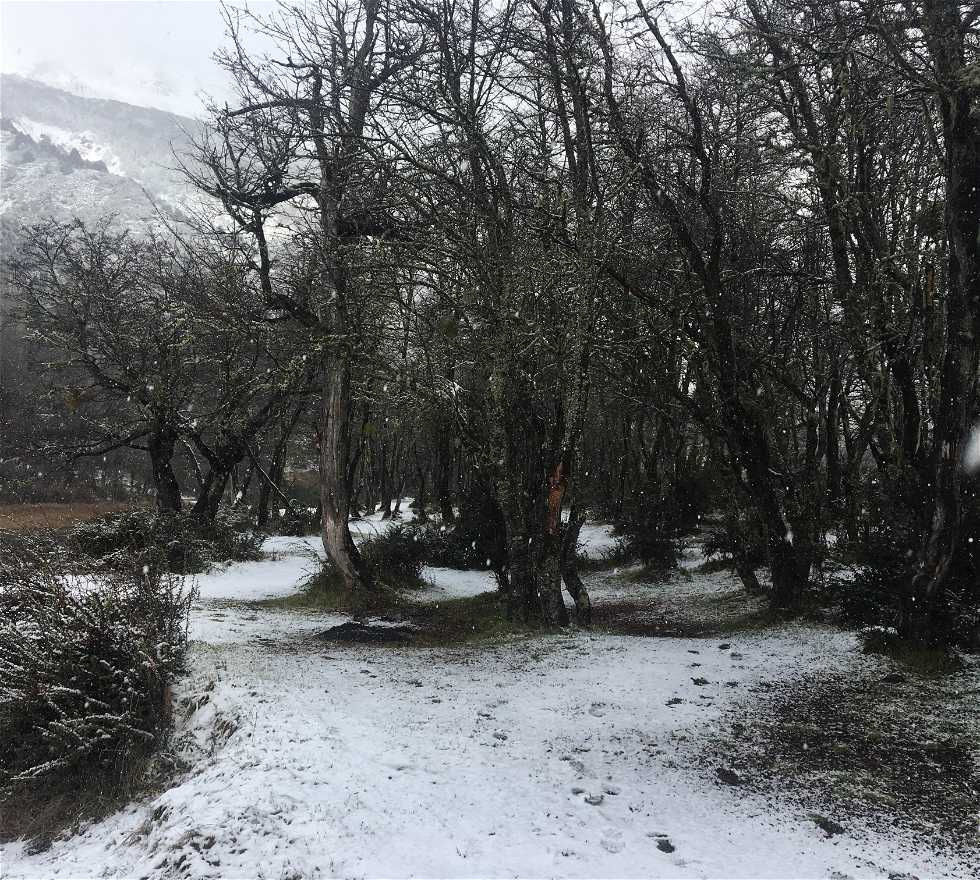 Nieve en San Martín de Los Andes