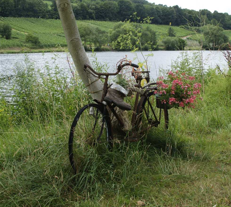 Bicicleta en Fleringen