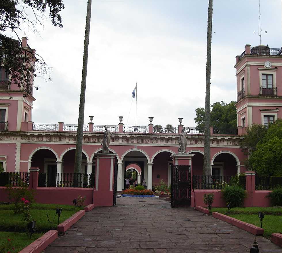 Faisão em Concepción del Uruguay