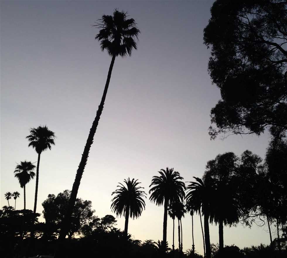 Cielo en Montecito