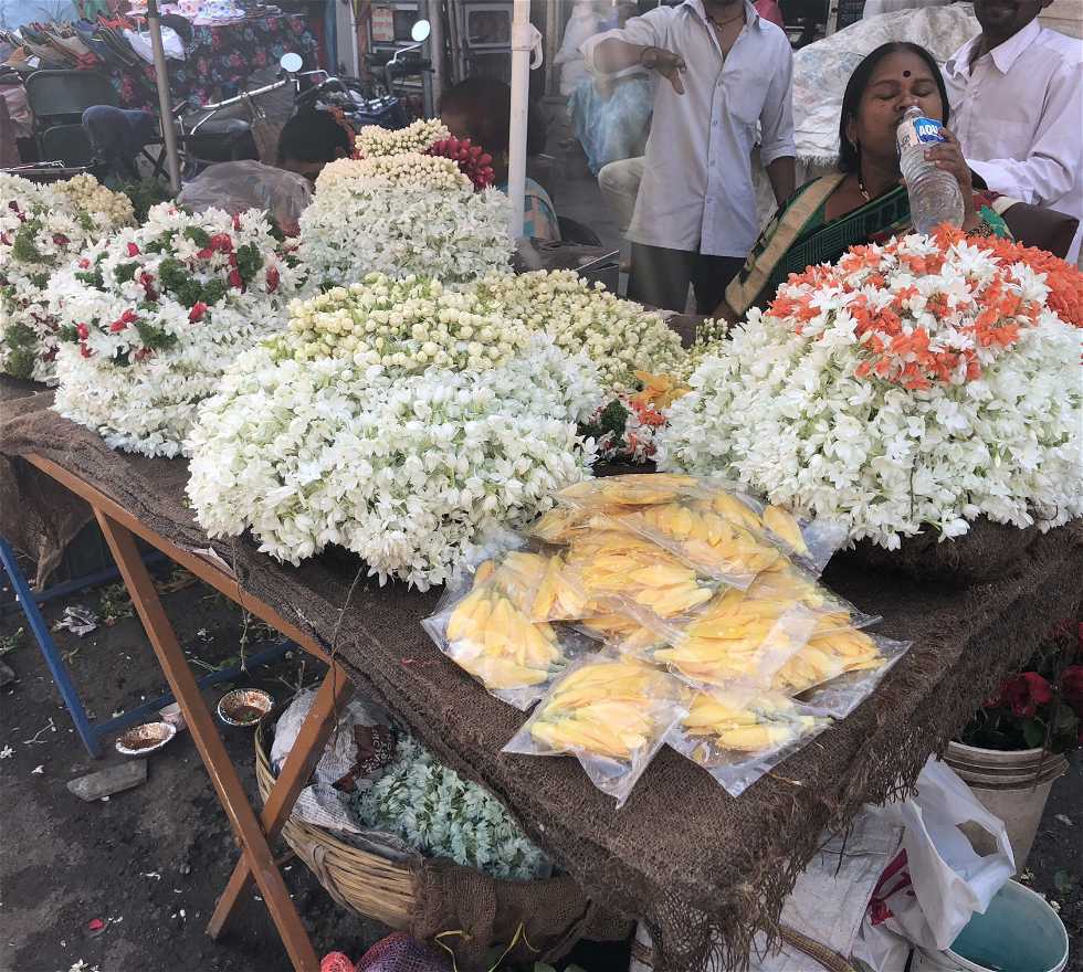 Fleur à Pune