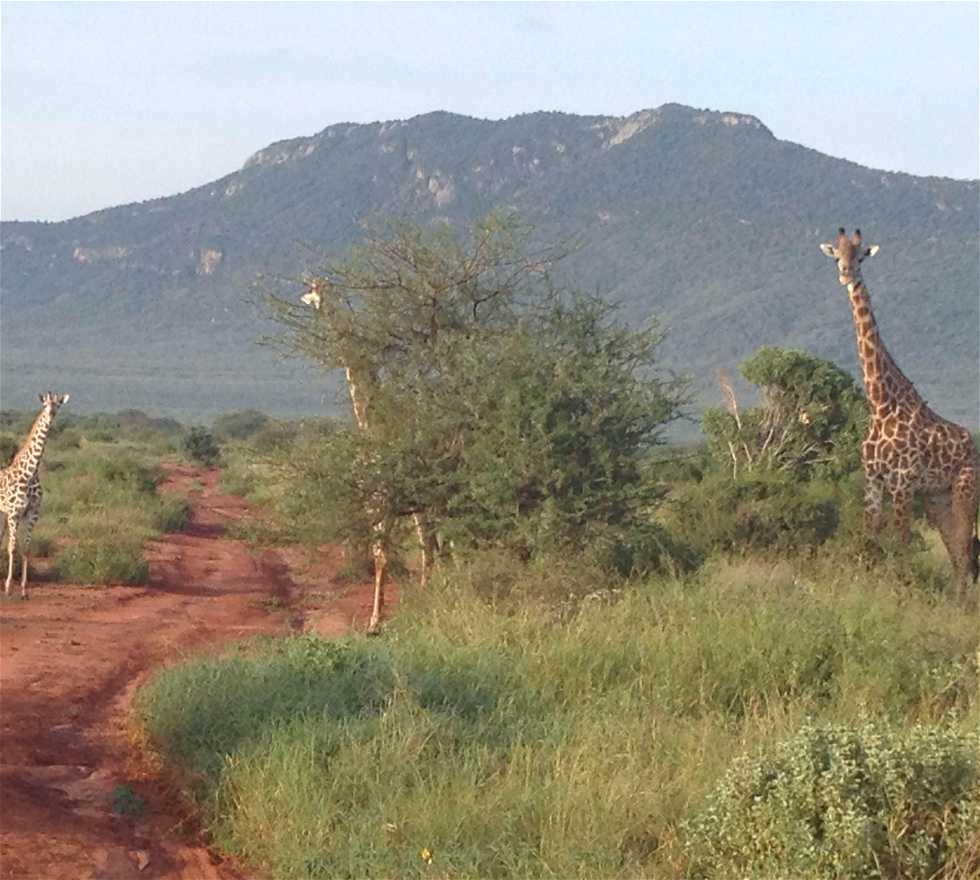 Camino en Kenia