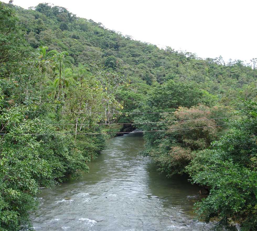 Río en Chocó
