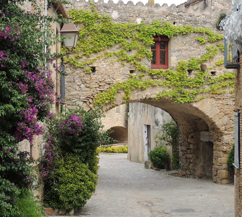 Flor em Girona