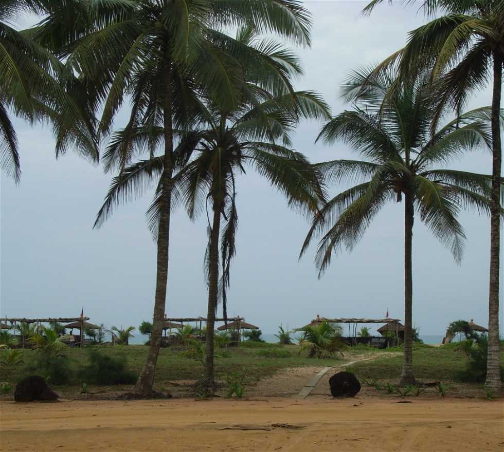 Shore in Cotonou