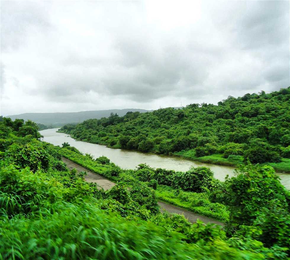 Vegetación en Goa