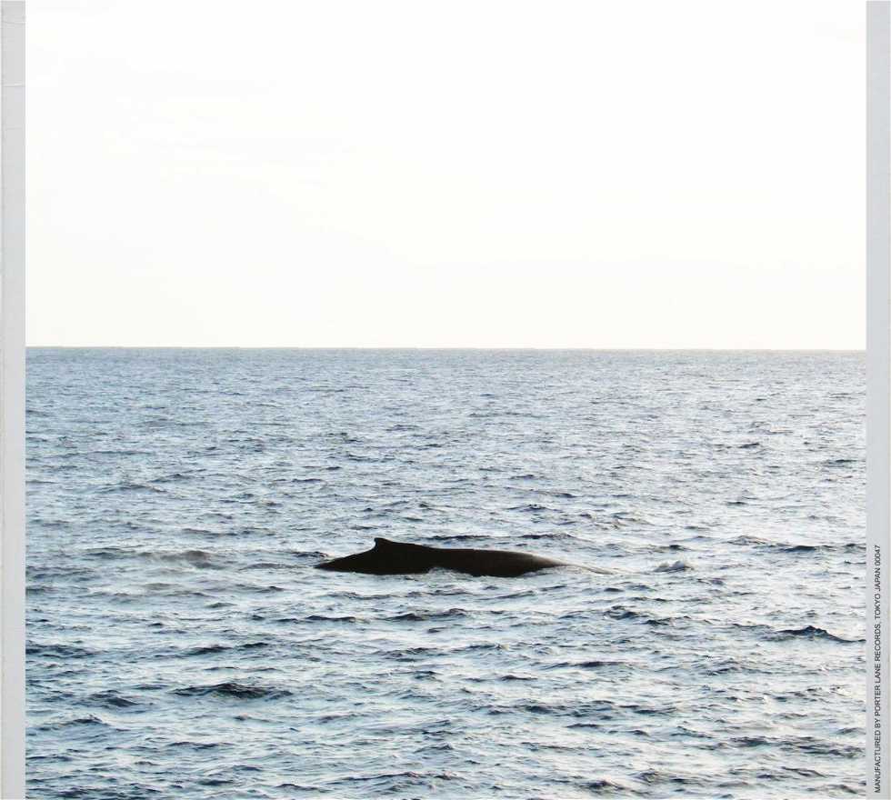 Balena a Maalaea