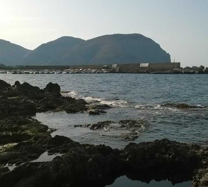 Shore in Palermo