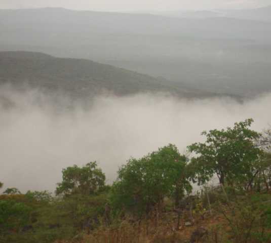 Niebla en Venezuela