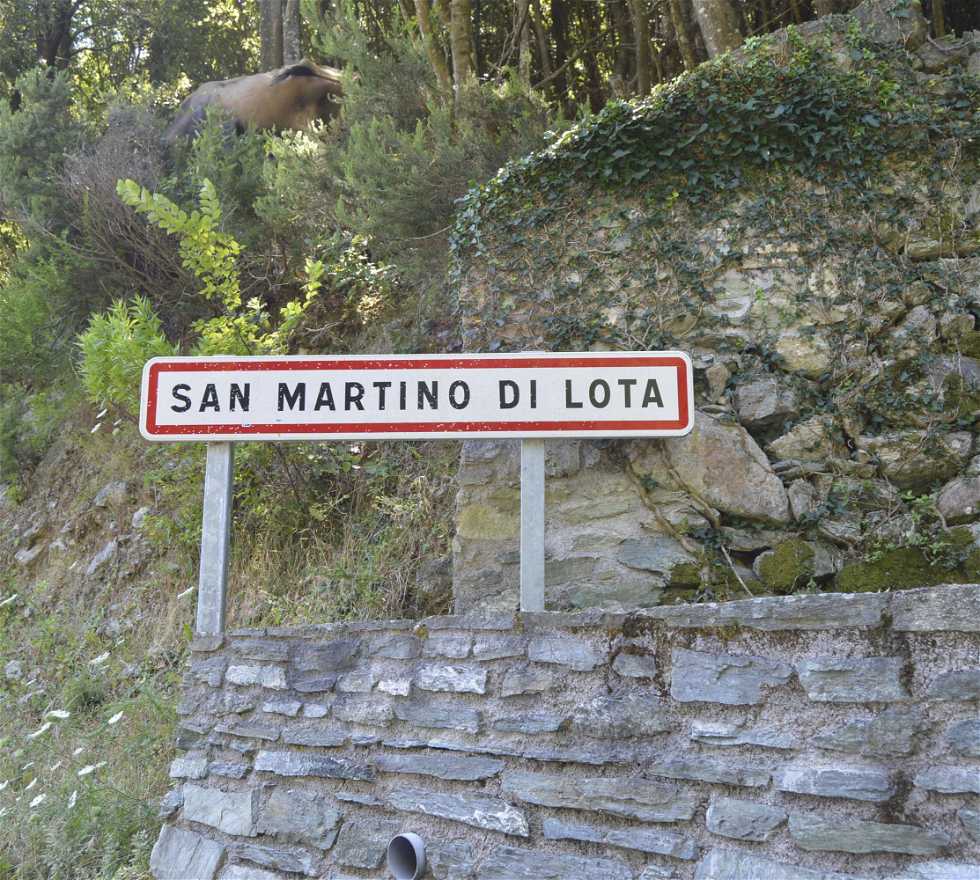 Signage in San-Martino-di-Lota
