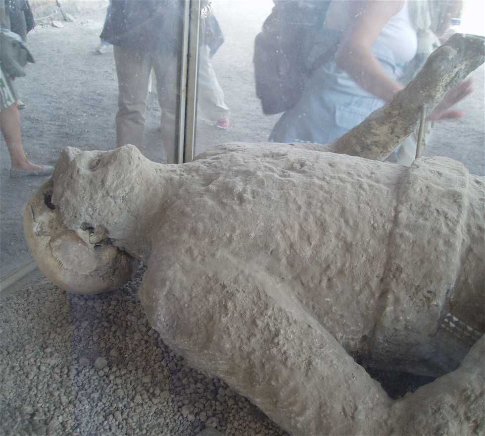 Animal en Pompeya