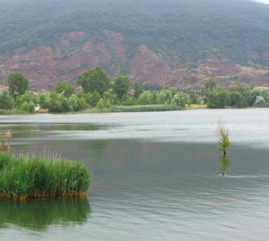 Lago en Clermont-l'Hérault