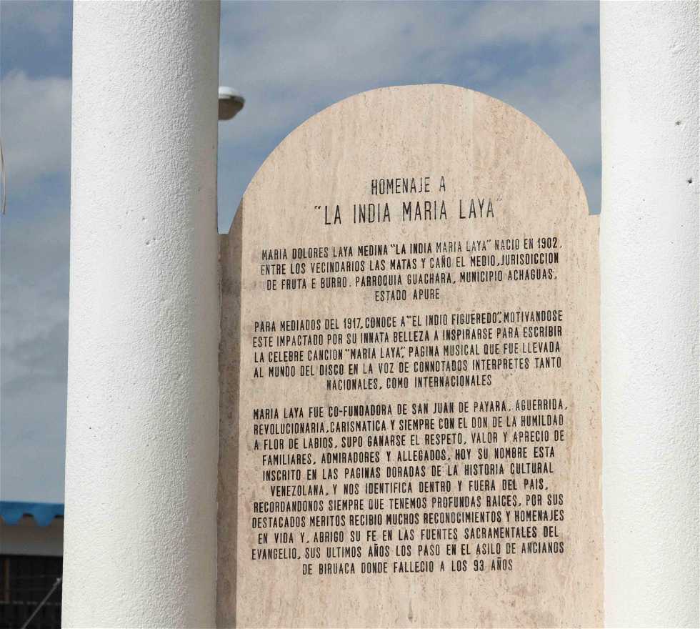 Memorial en Pedro Camejo