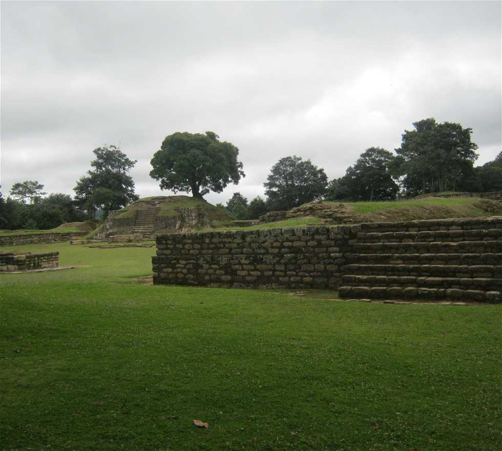 Herbe à Tecpán Guatemala