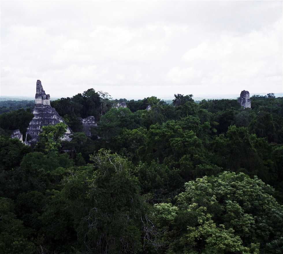 Villa en Tikal