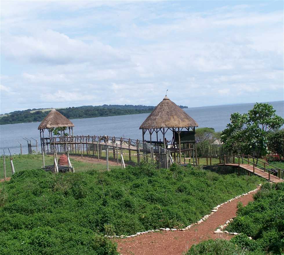 Costa en Uganda