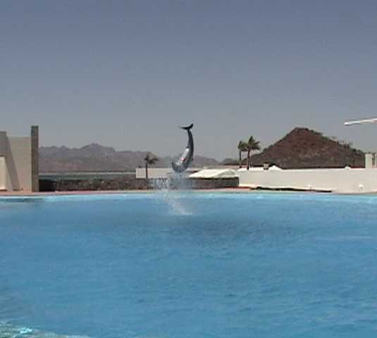 Cayo en Guaymas