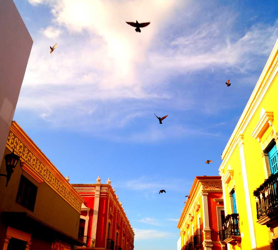 Amarillo en Campeche