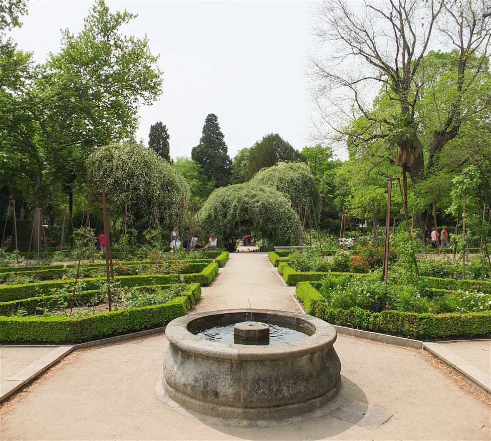 plano real jardin botanico de madrid