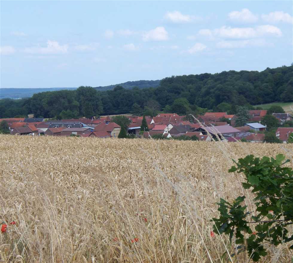 Field in Ricquebourg