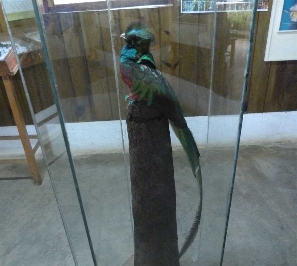 Sculpture à El Quetzal
