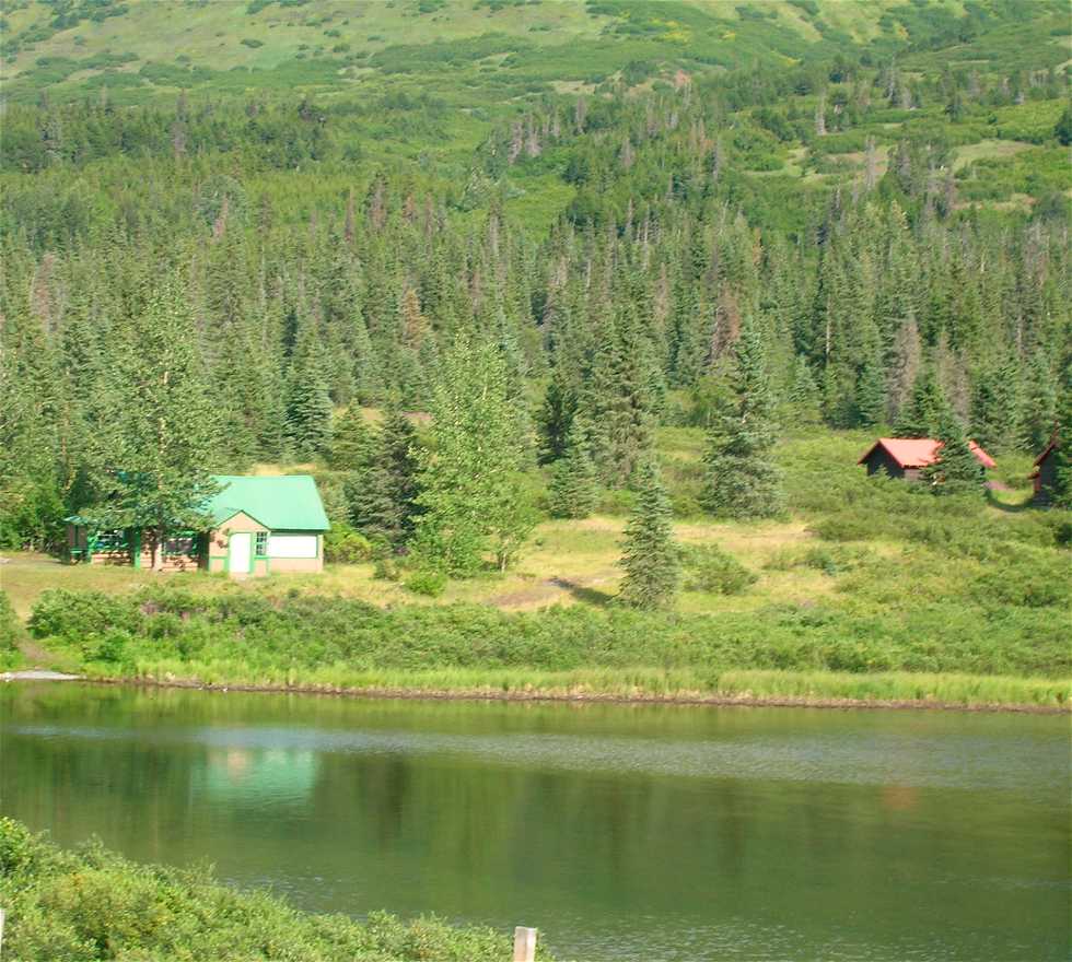 Verde en Moose Pass