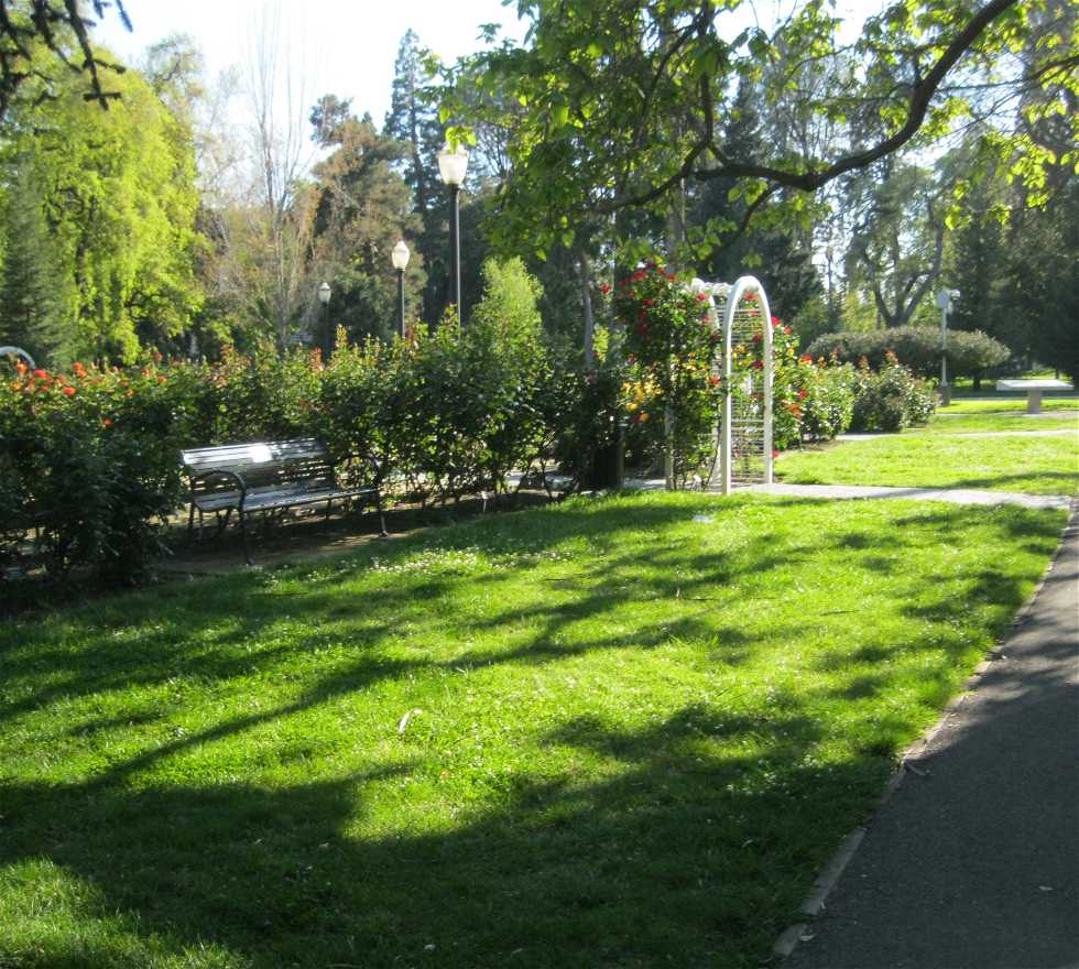 Jardín en Sacramento