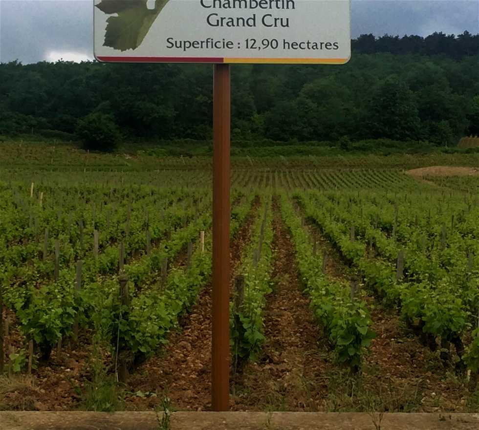 Agriculture in Gevrey-Chambertin