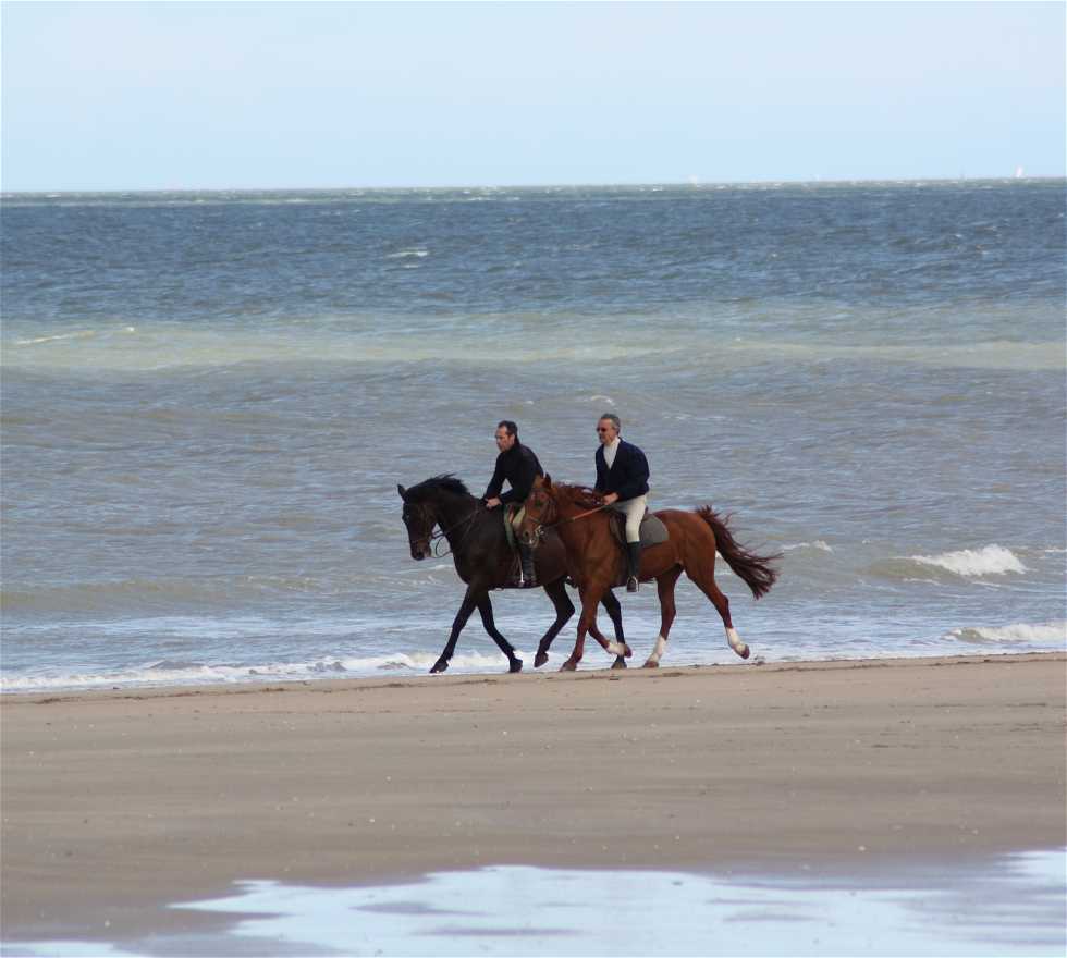 Equitación en Blonville-sur-Mer