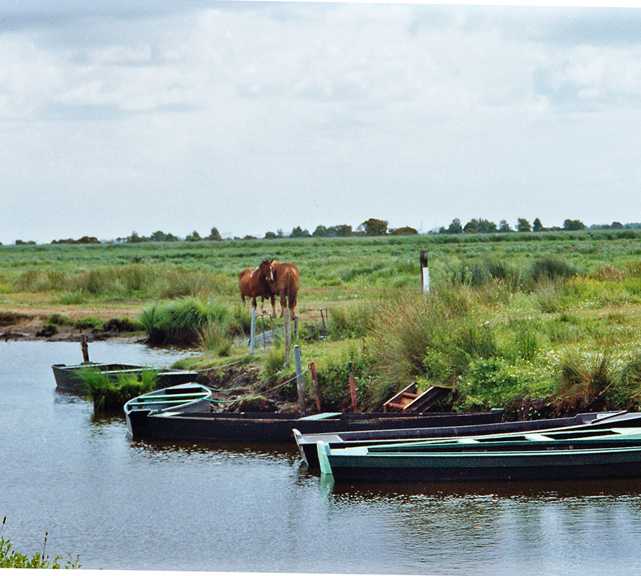 Wetland in Saint-Lyphard