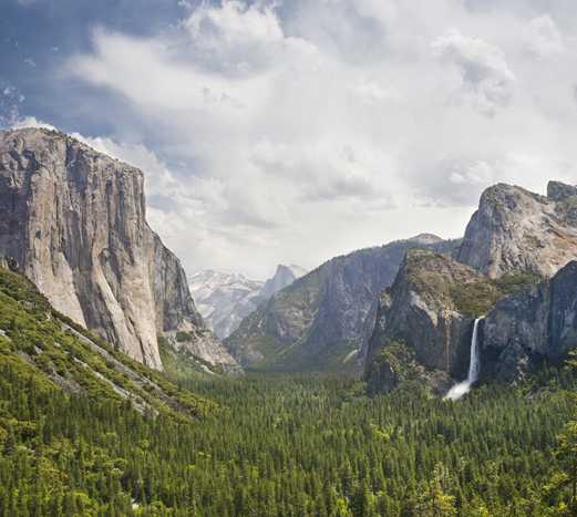 Verde en Yosemite National Park