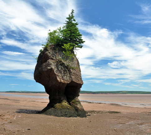 Fotos de Fundy National Park: Ver fotos e Imágenes de Fundy National Park