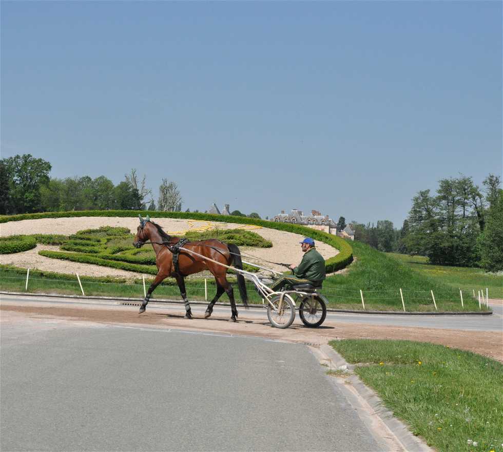 Carrera de caballos en Boissy-Saint-Léger