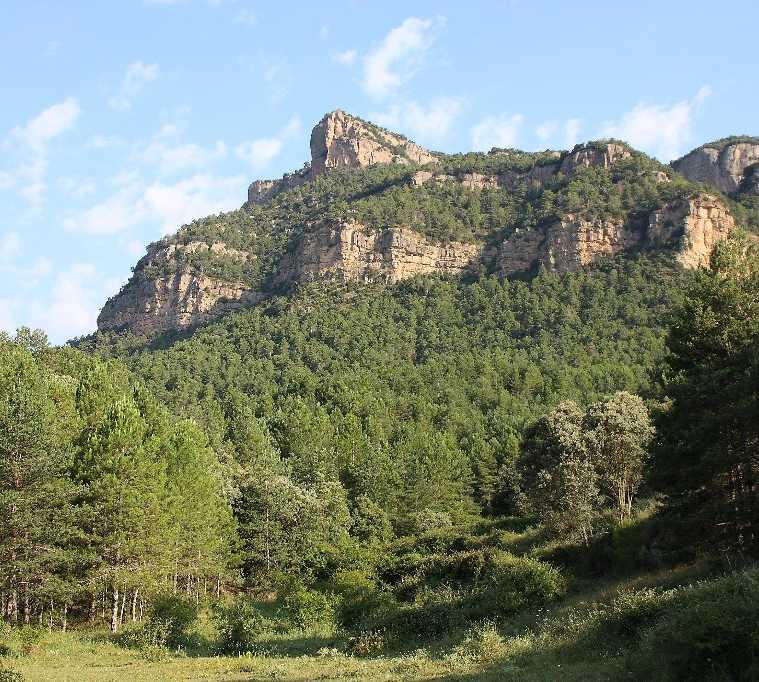 Montaña en Navès