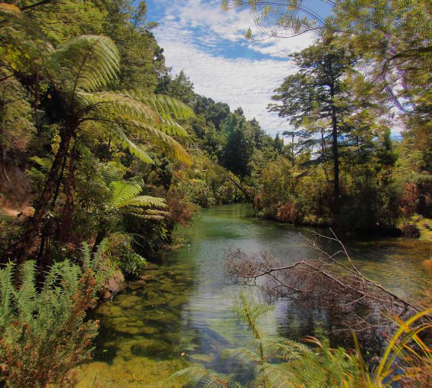 Naturaleza en Tasman
