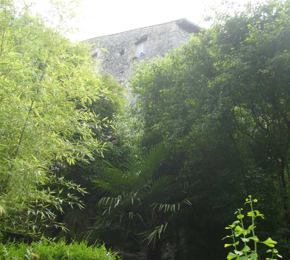 Verde en Castelmoron-sur-Lot