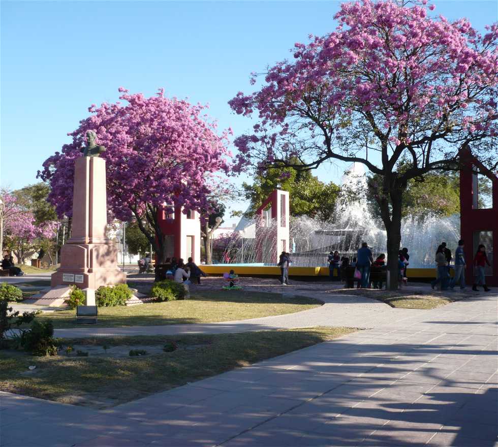 Color rosa en Santiago del Estero