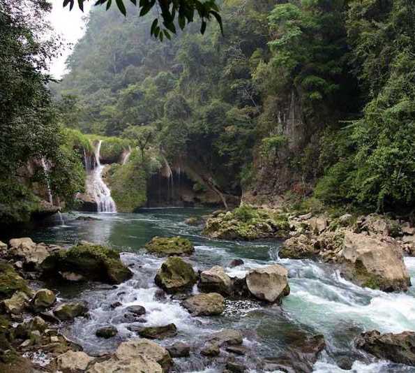Forêt tropicale à Alta Verapaz