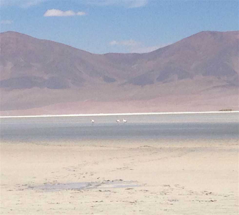 Lago en Huasco