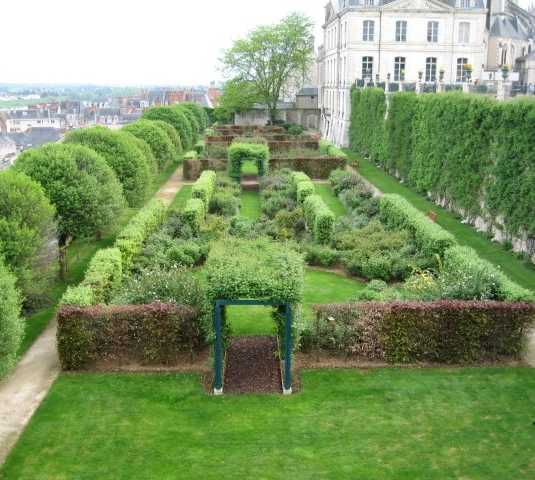 Planta en Blois