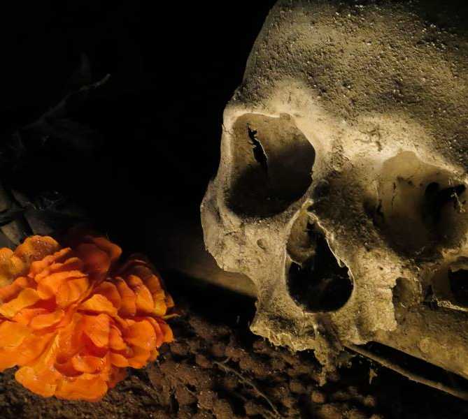 Skull in Naples