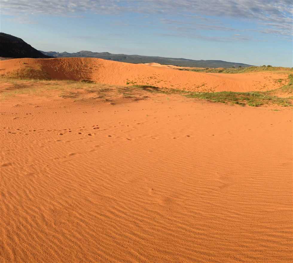 Sahara à Kanab