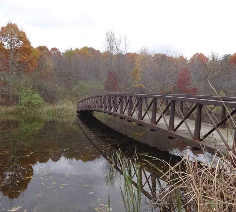 Pont dans le Michigan