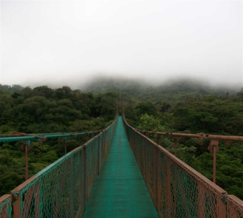 Puente colgante en Monteverde