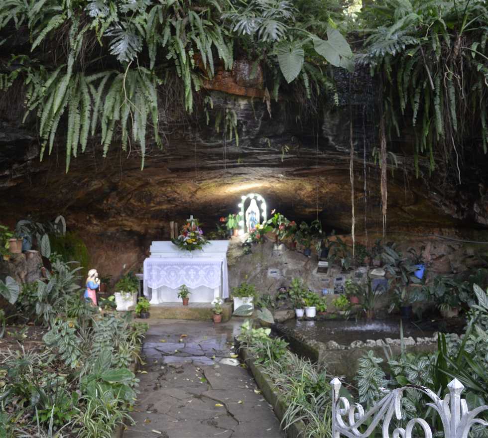 Selva en Antônio Prado