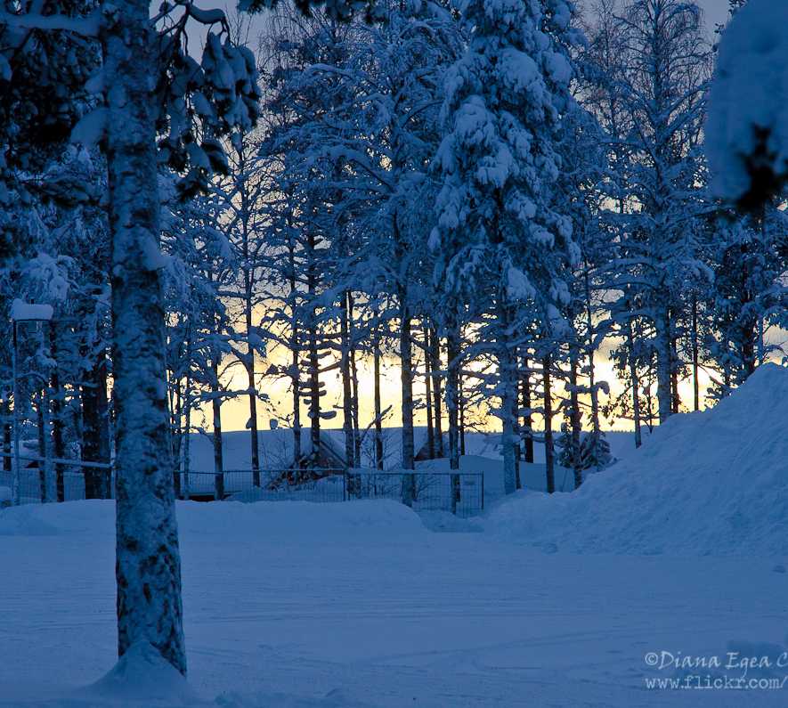 Frost in Rovaniemi