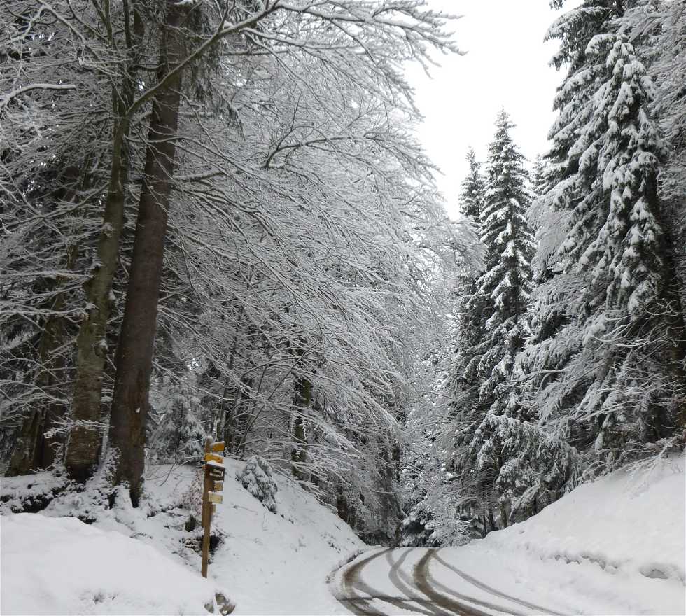 Winter in Praz-sur-Arly